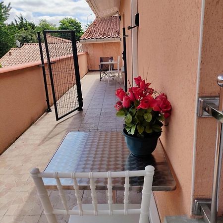 Residence Des Canaris Toulouse Bagian luar foto